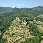 Lovely Estate Not Far From Florence With Olives Trees *