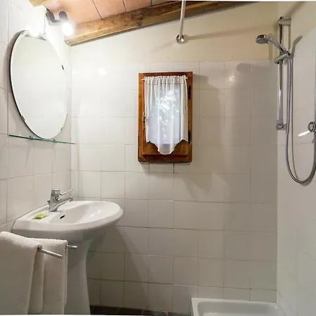 Lovely Estate Not Far From Florence With Olives Trees Holiday home