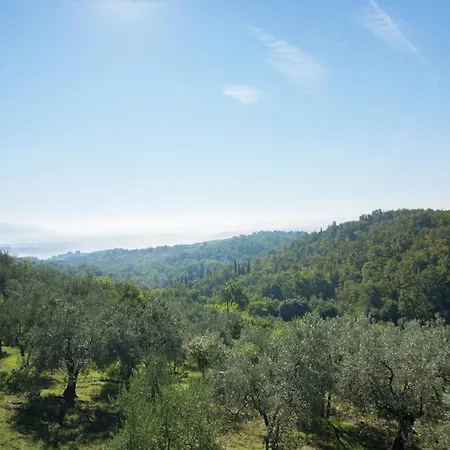 Lovely Estate Not Far From Florence With Olives Trees Poggio Alla Croce