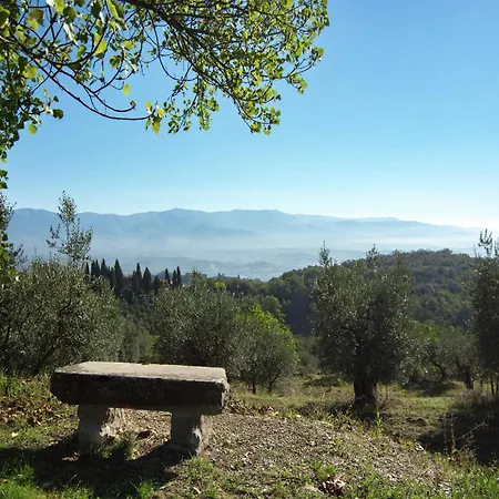 Lovely Estate Not Far From Florence With Olives Trees *