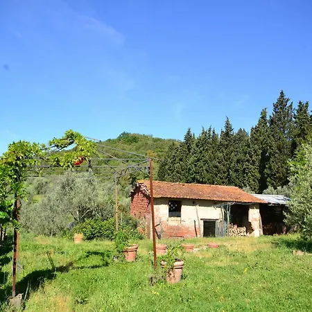 Lovely Estate Not Far From Florence With Olives Trees Holiday home Poggio Alla Croce