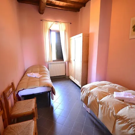 Lovely Estate Not Far From Florence With Olives Trees