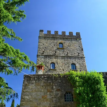 Lovely Estate Not Far From Florence With Olives Trees Holiday home
