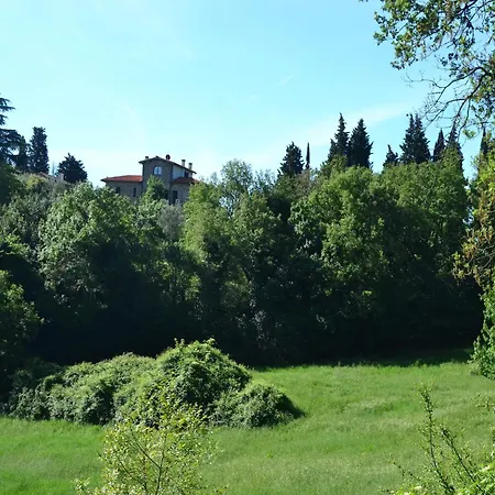 Holiday home Lovely Estate Not Far From Florence With Olives Trees