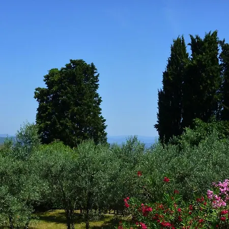 Lovely Estate Not Far From Florence With Olives Trees *