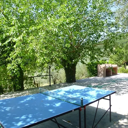 Holiday home Lovely Estate Not Far From Florence With Olives Trees