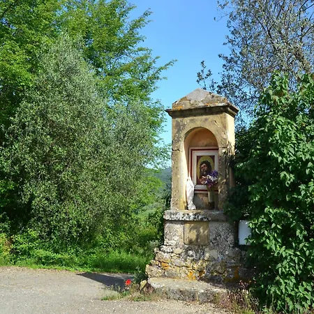 Lovely Estate Not Far From Florence With Olives Trees Holiday home