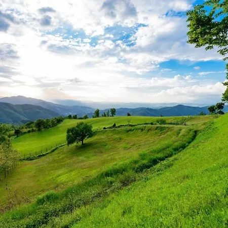 Lovely Estate Not Far From Florence With Olives Trees Holiday home *