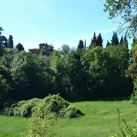 Lovely Estate Not Far From Florence With Olives Trees Holiday home *