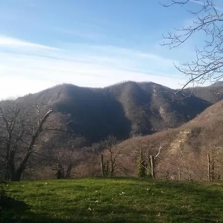 Lovely Estate Not Far From Florence With Olives Trees Holiday home