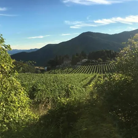 Lovely Estate Not Far From Florence With Olives Trees * Poggio Alla Croce