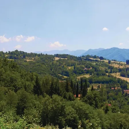 Lovely Estate Not Far From Florence With Olives Trees Holiday home *