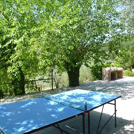 Lovely Estate Not Far From Florence With Olives Trees *