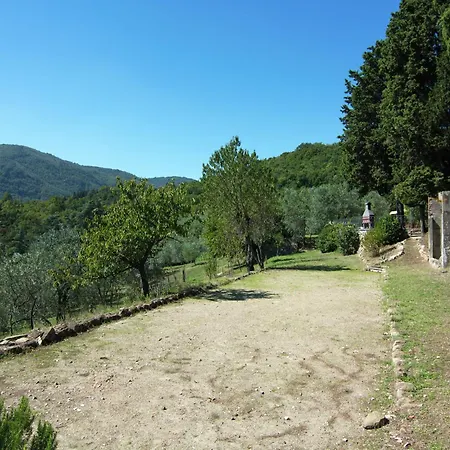 Сasa de vacaciones Lovely Estate Not Far From Florence With Olives Trees *