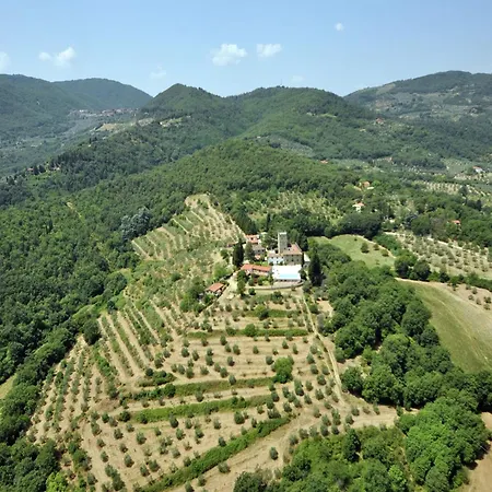 Lovely Estate Not Far From Florence With Olives Trees *